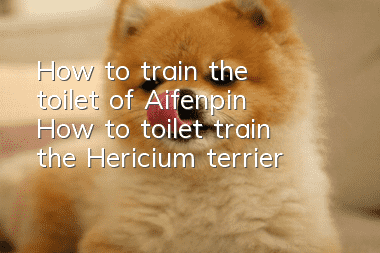 How to train the toilet of Aifenpin? How to toilet train the Hericium terrier?