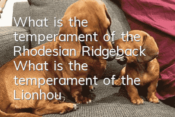 What is the temperament of the Rhodesian Ridgeback? What is the temperament of the Lionhound?