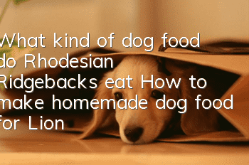 What kind of dog food do Rhodesian Ridgebacks eat? How to make homemade dog food for Lion Hounds