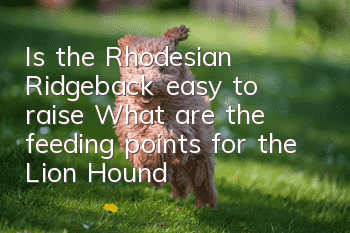 Is the Rhodesian Ridgeback easy to raise? What are the feeding points for the Lion Hound?