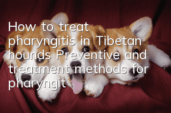 How to treat pharyngitis in Tibetan hounds? Preventive and treatment methods for pharyngitis in Tibetan hounds