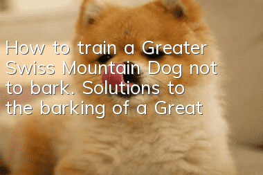 How to train a Greater Swiss Mountain Dog not to bark. Solutions to the barking of a Greater Swiss Mountain Dog.