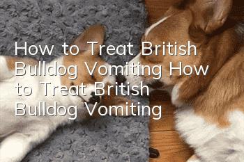 How to Treat British Bulldog Vomiting How to Treat British Bulldog Vomiting