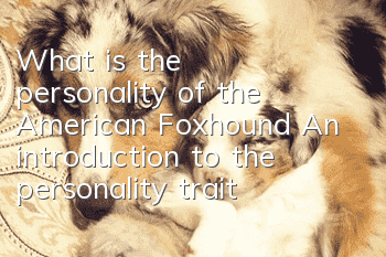 What is the personality of the American Foxhound? An introduction to the personality traits of the American Foxhound