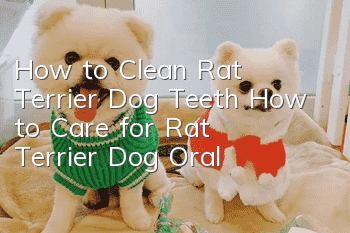 How to Clean Rat Terrier Dog Teeth How to Care for Rat Terrier Dog Oral