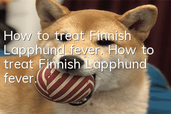 How to treat Finnish Lapphund fever. How to treat Finnish Lapphund fever.