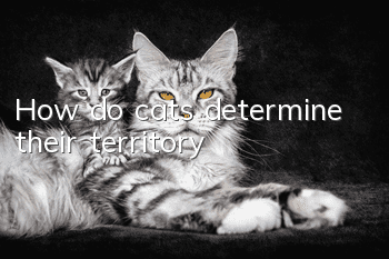 How do cats determine their territory?