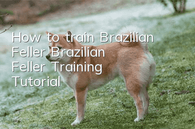 How to train Brazilian Feller Brazilian Feller Training Tutorial