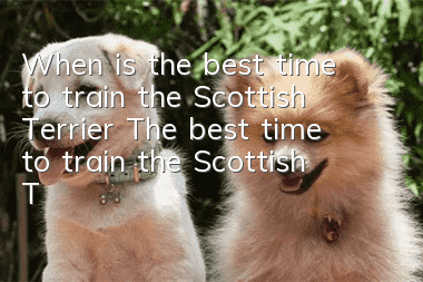 When is the best time to train the Scottish Terrier? The best time to train the Scottish Terrier