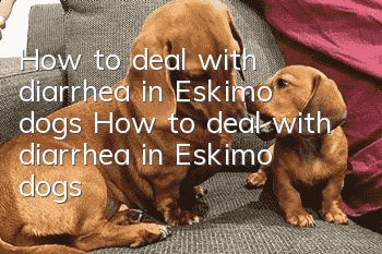 How to deal with diarrhea in Eskimo dogs How to deal with diarrhea in Eskimo dogs