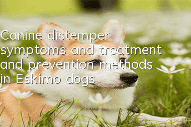 Canine distemper symptoms and treatment and prevention methods in Eskimo dogs