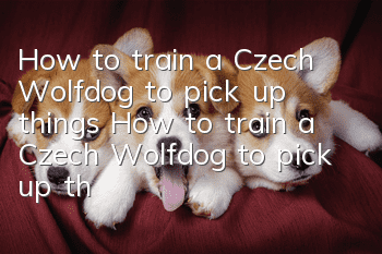 How to train a Czech Wolfdog to pick up things? How to train a Czech Wolfdog to pick up things?