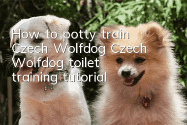 How to potty train Czech Wolfdog? Czech Wolfdog toilet training tutorial