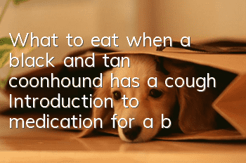 What to eat when a black and tan coonhound has a cough? Introduction to medication for a black and tan coonhound when it coughs
