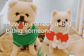 How to correct a dog biting someone