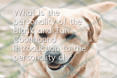 What is the personality of the Black and Tan Coonhound? Introduction to the personality characteristics of the Black and Tan Coonhound.