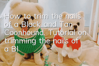 How to trim the nails of a Black and Tan Coonhound. Tutorial on trimming the nails of a Black and Tan Coonhound.