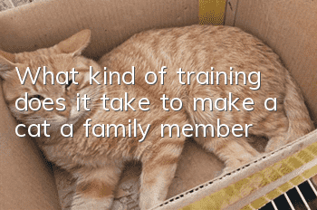 What kind of training does it take to make a cat a family member?