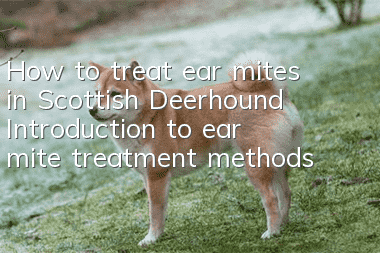 How to treat ear mites in Scottish Deerhound? Introduction to ear mite treatment methods