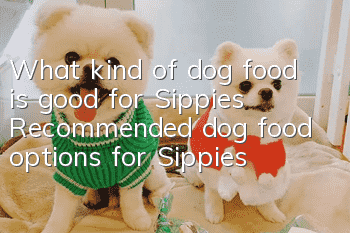 What kind of dog food is good for Sippies? Recommended dog food options for Sippies