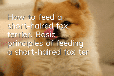 How to feed a short-haired fox terrier. Basic principles of feeding a short-haired fox terrier.