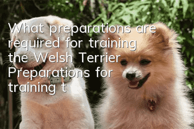 What preparations are required for training the Welsh Terrier? Preparations for training the Welsh Terrier