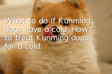What to do if Kunming dogs have a cold. How to treat Kunming dogs for a cold.