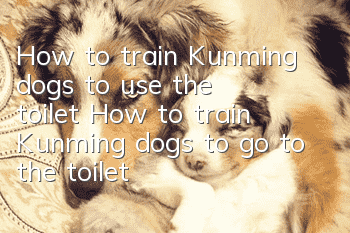 How to train Kunming dogs to use the toilet? How to train Kunming dogs to go to the toilet at a fixed location?