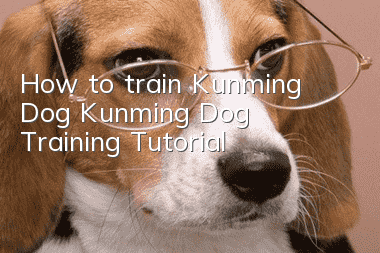 How to train Kunming Dog Kunming Dog Training Tutorial