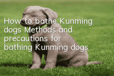How to bathe Kunming dogs? Methods and precautions for bathing Kunming dogs