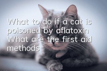What to do if a cat is poisoned by aflatoxin? What are the first aid methods?