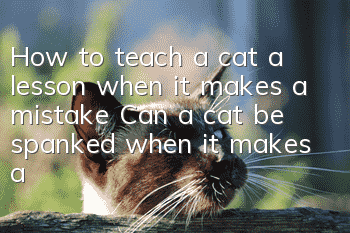 How to teach a cat a lesson when it makes a mistake? Can a cat be spanked when it makes a mistake?
