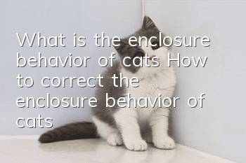 What is the enclosure behavior of cats? How to correct the enclosure behavior of cats!