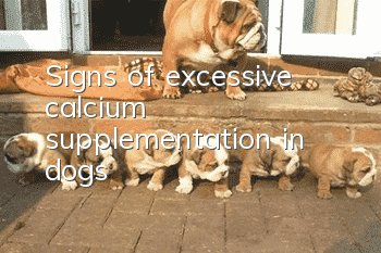 Signs of excessive calcium supplementation in dogs