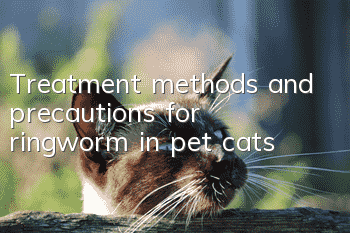 Treatment methods and precautions for ringworm in pet cats
