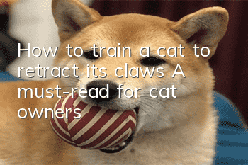 How to train a cat to retract its claws? A must-read for cat owners!
