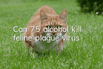 Can 75% alcohol kill feline plague virus?