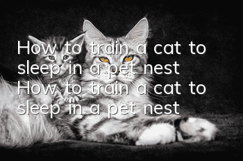 How to train a cat to sleep in a pet nest How to train a cat to sleep in a pet nest