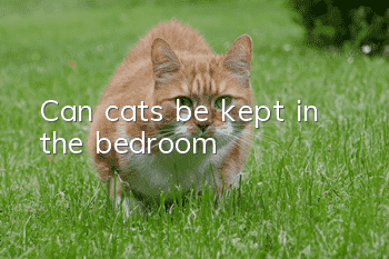 Can cats be kept in the bedroom?