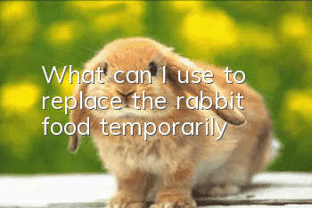 What can I use to replace the rabbit food temporarily?