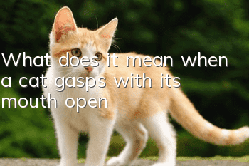 What does it mean when a cat gasps with its mouth open?