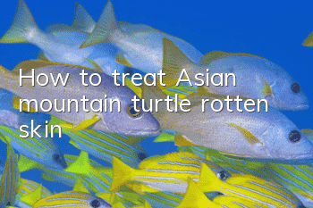 How to treat Asian mountain turtle rotten skin