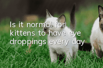 Is it normal for kittens to have eye droppings every day?