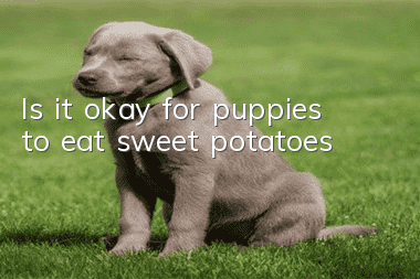 Is it okay for puppies to eat sweet potatoes?