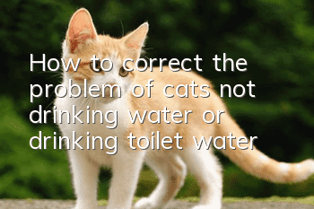 How to correct the problem of cats not drinking water or drinking toilet water?