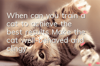 When can you train a cat to achieve the best results? Make the cat well-behaved and clingy!