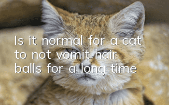 Is it normal for a cat to not vomit hair balls for a long time?