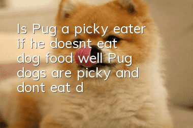 Is Pug a picky eater if he doesn’t eat dog food well? Pug dogs are picky and don’t eat dog food!