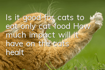 Is it good for cats to eat only cat food? How much impact will it have on the cat’s health?