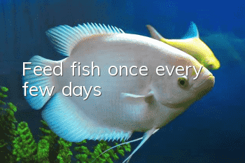 Feed fish once every few days
